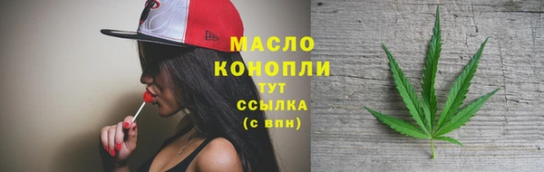 тгк Медногорск