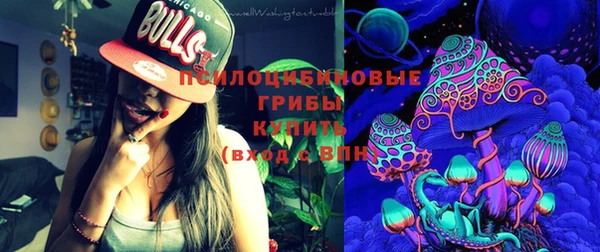 крисы Медвежьегорск