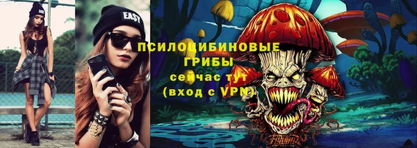тгк Медногорск