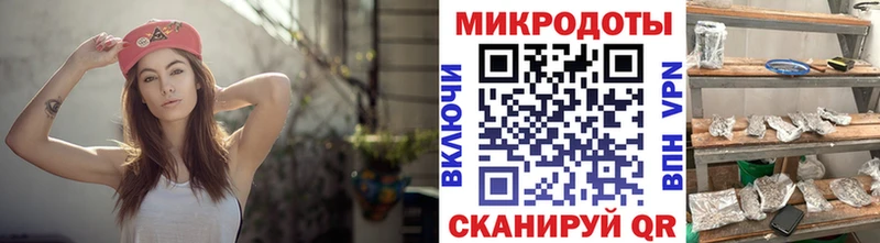 shop наркотические препараты  ссылка на мегу как зайти  Курчалой  Псилоцибиновые грибы MAGIC MUSHROOMS 
