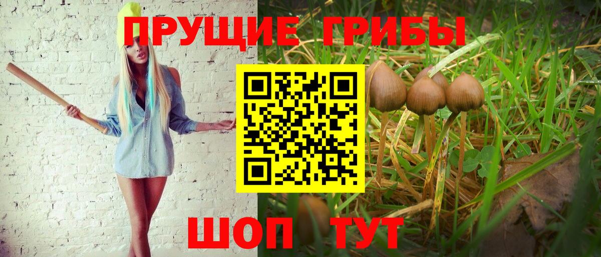 Галлюциногенные грибы Magic Shrooms  Курчалой 