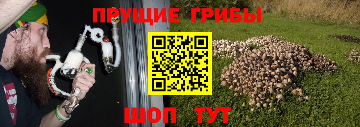 ЭКСТАЗИ Курчалой