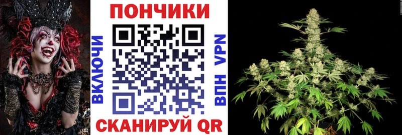 Бошки Шишки Ganja  Курчалой 